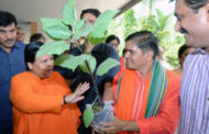 पौधे से सत्कार अ'छी परंपरा:उमा भारती,  केन्द्रीय मंत्री उमा भारती को किया पौधा भेंट