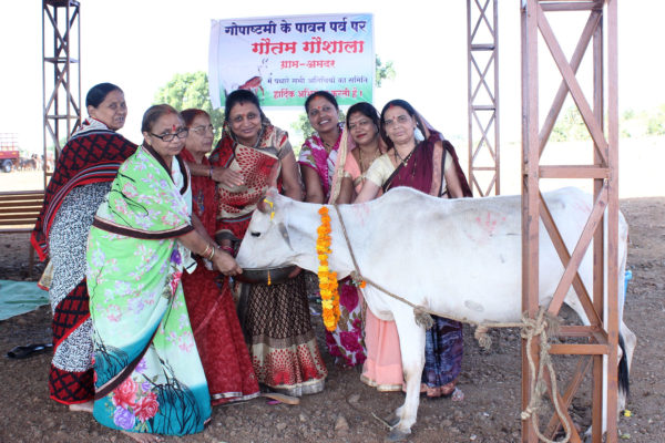 धरती पर गौमाता ईश्वर का साक्षात रूप:अतुल शाह,  गोपाष्टमी संपन्न, हुए अनेक कार्यक्रम