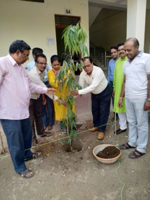जेएच कॉलेज में एक व्यक्ति एक वृक्ष योजना के तहत पौधारोपण संपन्न - पौधारोपण न्यूज़